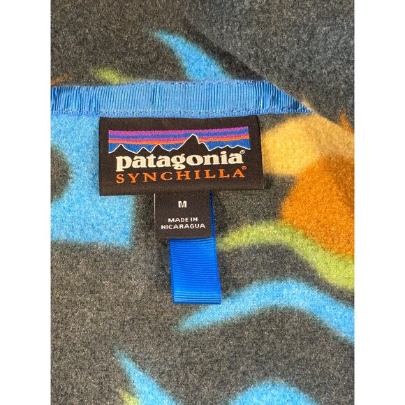 Patagonia Synchilla Arctic Collage Northern Green Fleece Pullover M - Picture 10 of 15